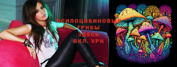 MESCALINE Гусь-Хрустальный
