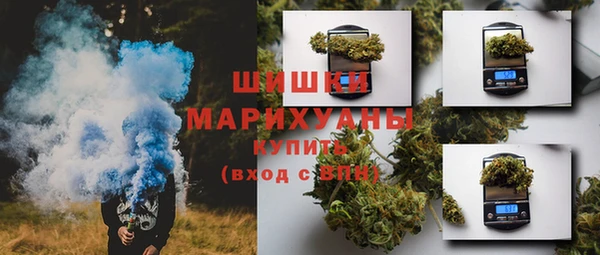 бошки Гусев