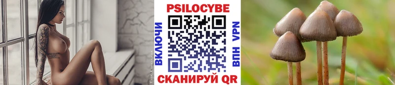Купить  Мамадыш  Псилоцибиновые грибы Cubensis 